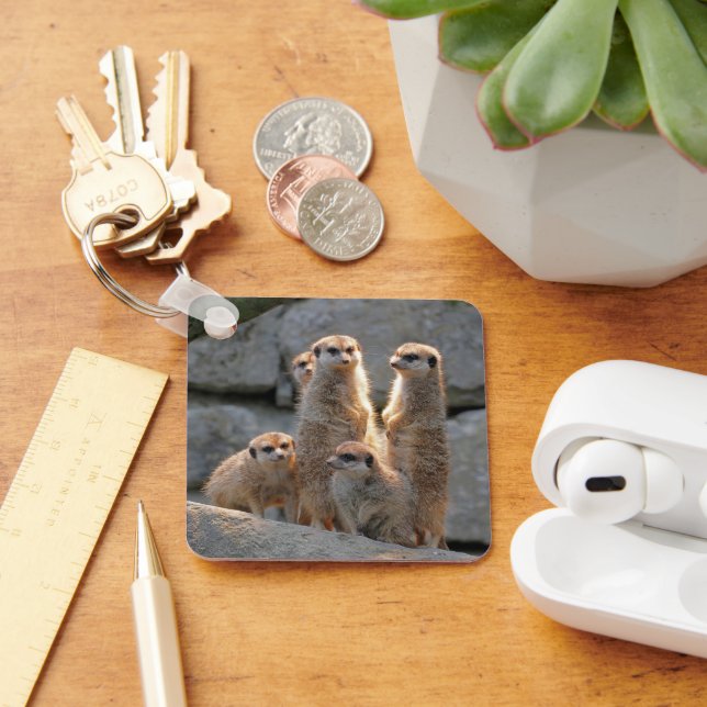 Meerkat 110 key ring (Desk)