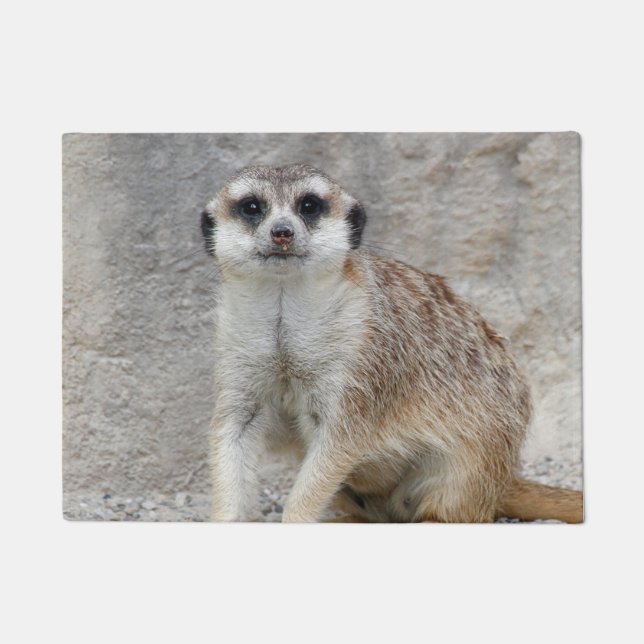 Meerkat 134 doormat (Front)