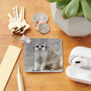 Meerkat 134 key ring