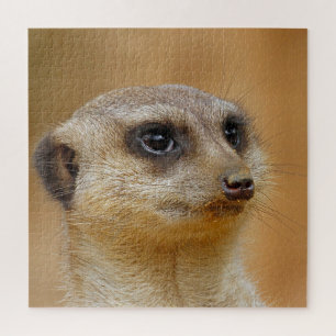 Meerkat 154 jigsaw puzzle