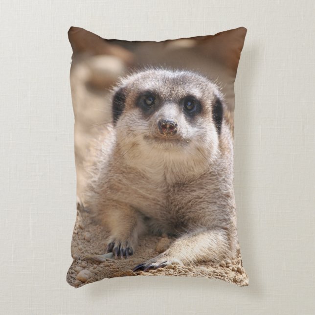Meerkat 174 decorative cushion (Front(Vertical))