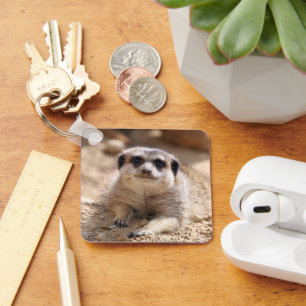 Meerkat 174 key ring