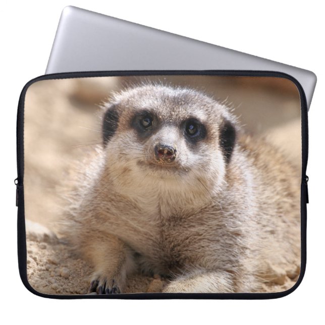 Meerkat 174 laptop sleeve (Front)