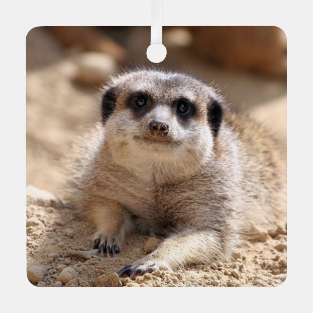 Meerkat 174 metal tree decoration (Front)