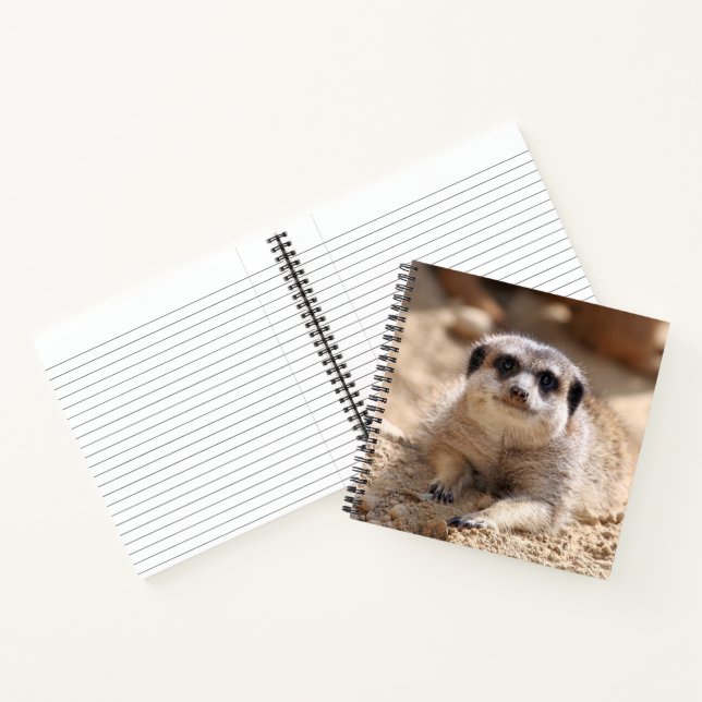 Meerkat 174 notebook (Inside)