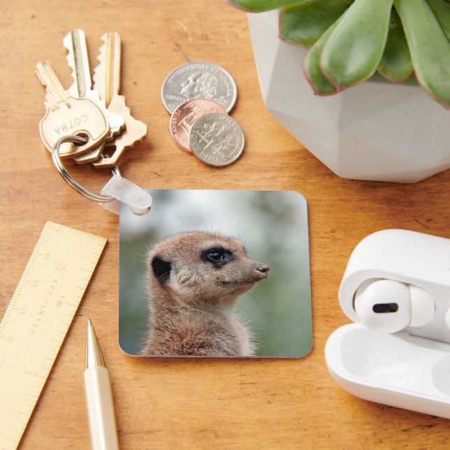 Meerkat 180 key ring (Desk)