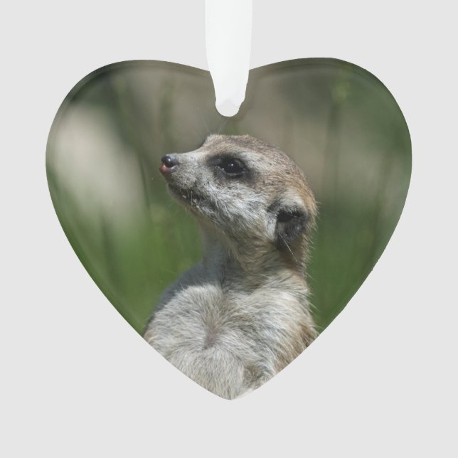 Meerkat_2014_1006 Ornament (Front)