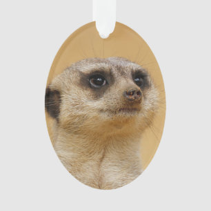 Meerkat 2014-1101 ornament