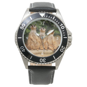 Meerkat_2015_0101 Watch