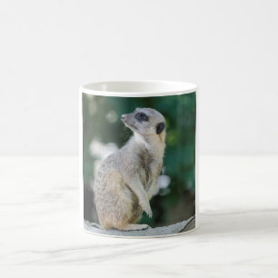 Meerkat_2015_0103 Coffee Mug