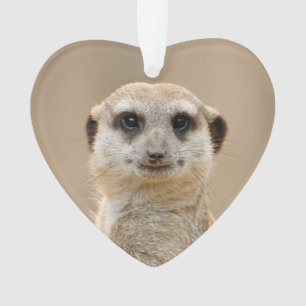 Meerkat_2015_0211 Ornament