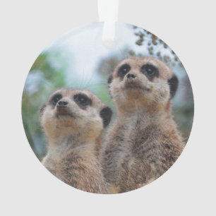 Meerkat_2015_0410 Ornament