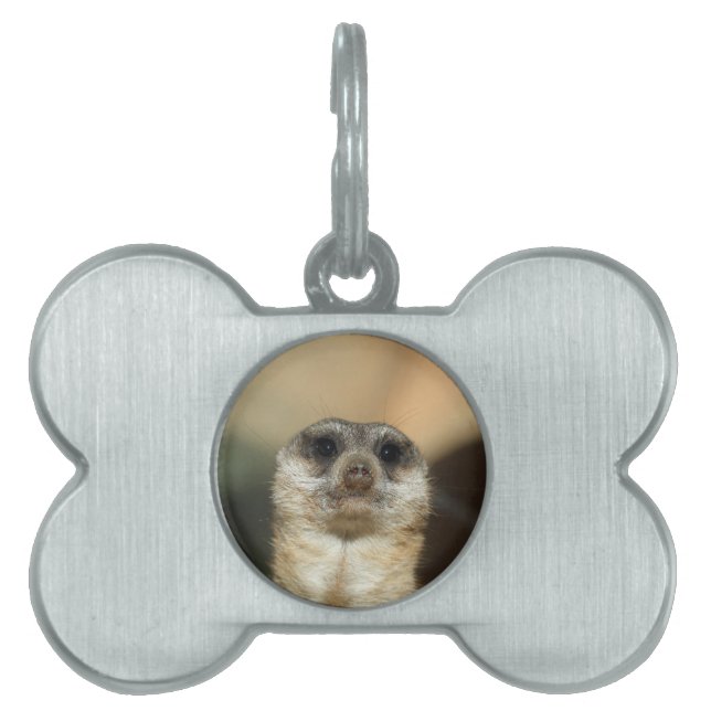 Meerkat_2015_0501 Pet Name Tag (Front)