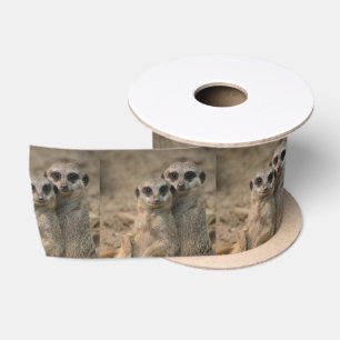 Meerkat_20170901_by_JAMFoto Satin Ribbon