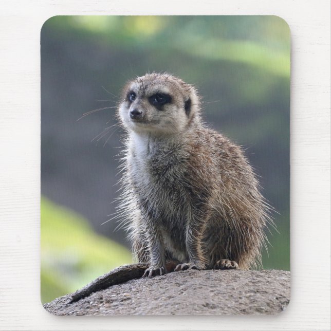 Meerkat_20171101_by_JAMFoto Mouse Mat (Front)