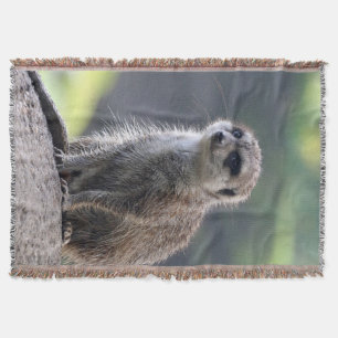 Meerkat_20171101_by_JAMFoto Throw Blanket