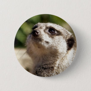 MEERKAT 6 CM ROUND BADGE