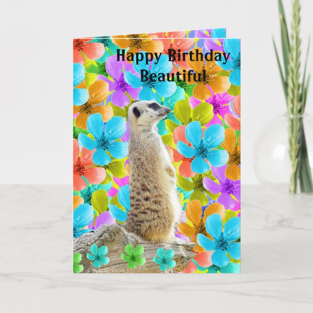 Meerkat And Blossoms Birthday Card, Holiday Card (Front)