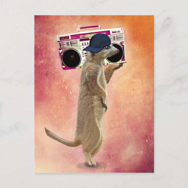 Meerkat and Boom Box Postcard (Front)