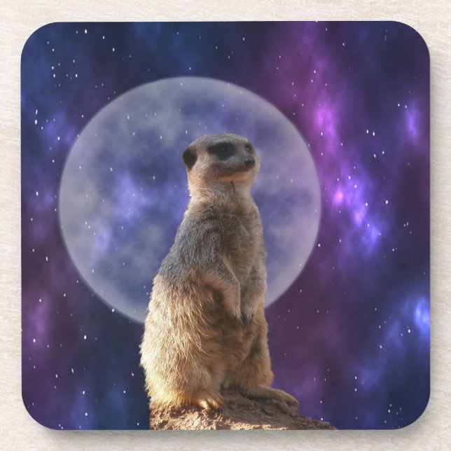 Meerkat And Full Moon, Coaster (Front)