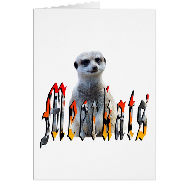 Meerkat And Meerkats Picture Logo, (Front)
