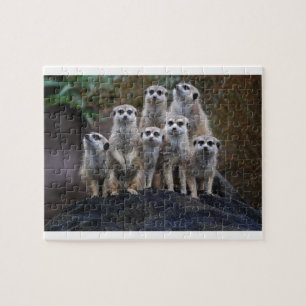 Meerkat Animal Safari Africa Cute Suricate Jigsaw Puzzle