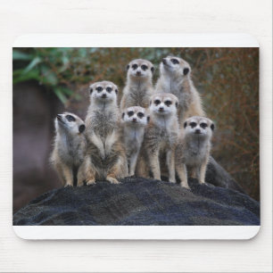 Meerkat Animal Safari Africa Cute Suricate Mouse Mat