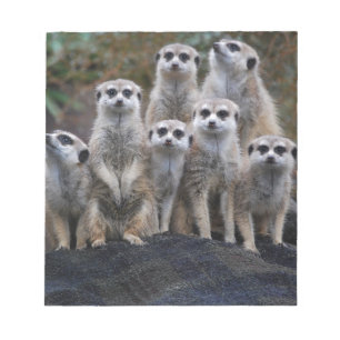Meerkat Animal Safari Africa Cute Suricate Notepad