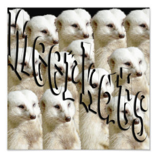 Meerkat Army Logo, Photo Print