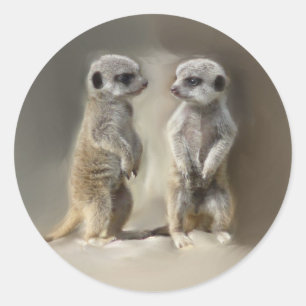 Meerkat baby twins classic round sticker