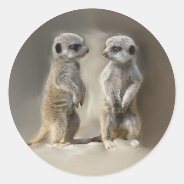Meerkat baby twins classic round sticker (Front)