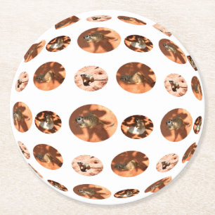 Meerkat Ball Shape, Round Coaster