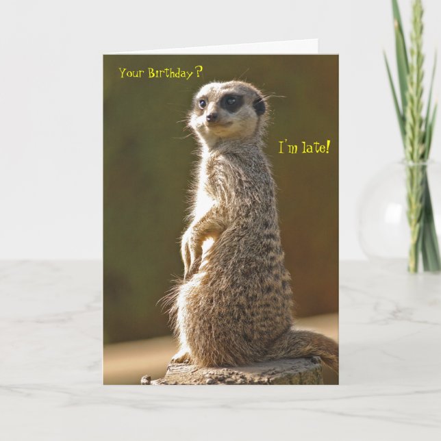 Meerkat Belated Birthday Card (Front)