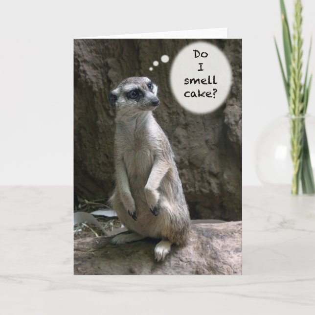 Meerkat Birthday card (Front)