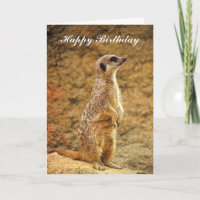 Meerkat Birthday Card