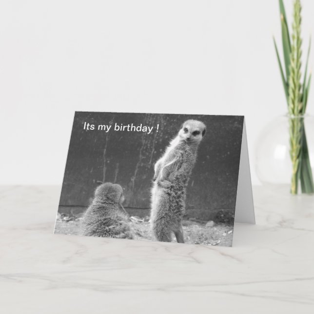 Meerkat Birthday Card (Front)