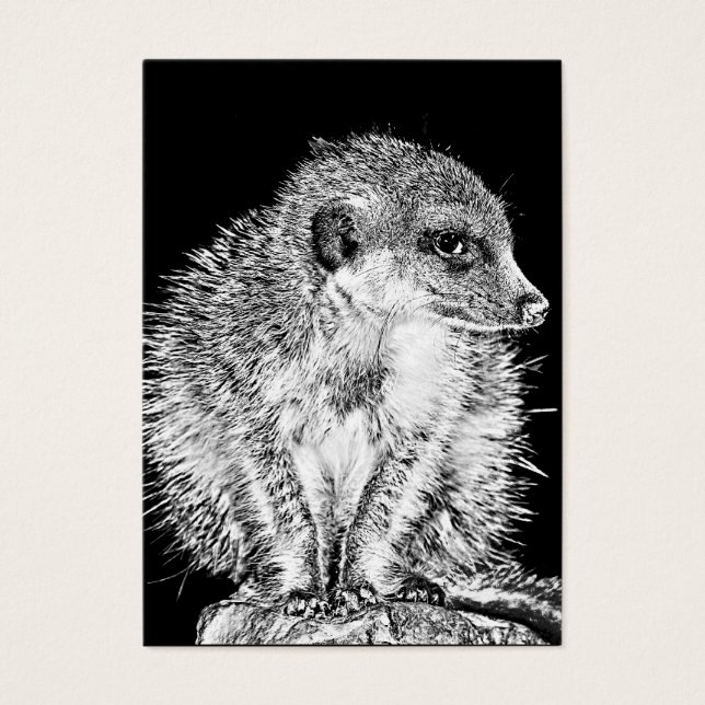 Meerkat, Black and White (Front)