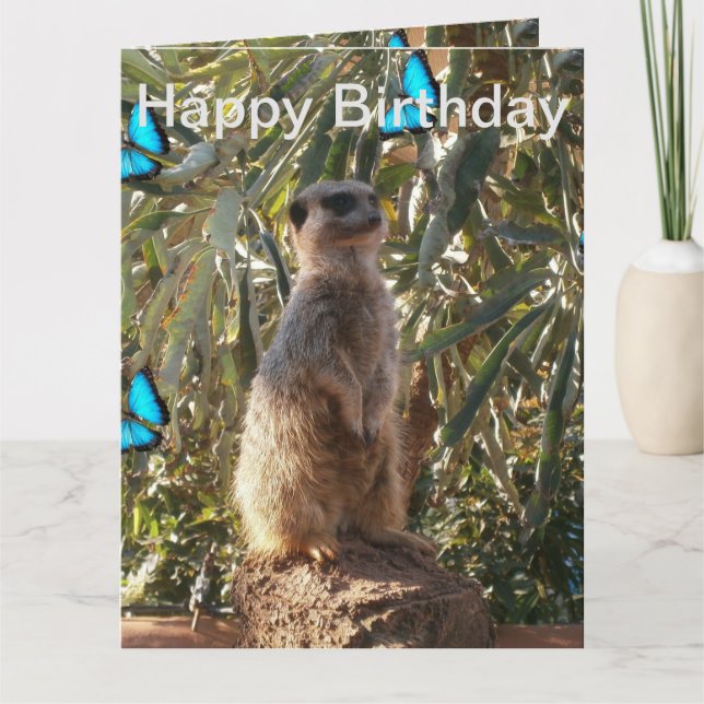 Meerkat Blue Butterflies,  Jumbo Birthday Card. Card (Front)