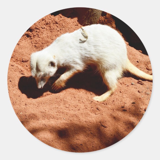 Meerkat Bug Eliminator, Round Stickers (Front)