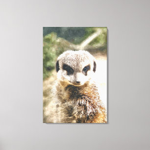 MEERKAT CANVAS PRINT