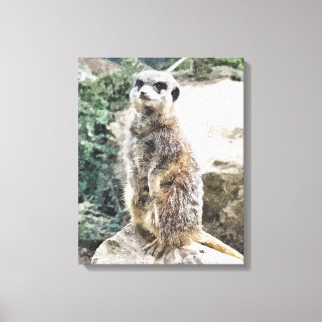 MEERKAT CANVAS PRINT (Front)