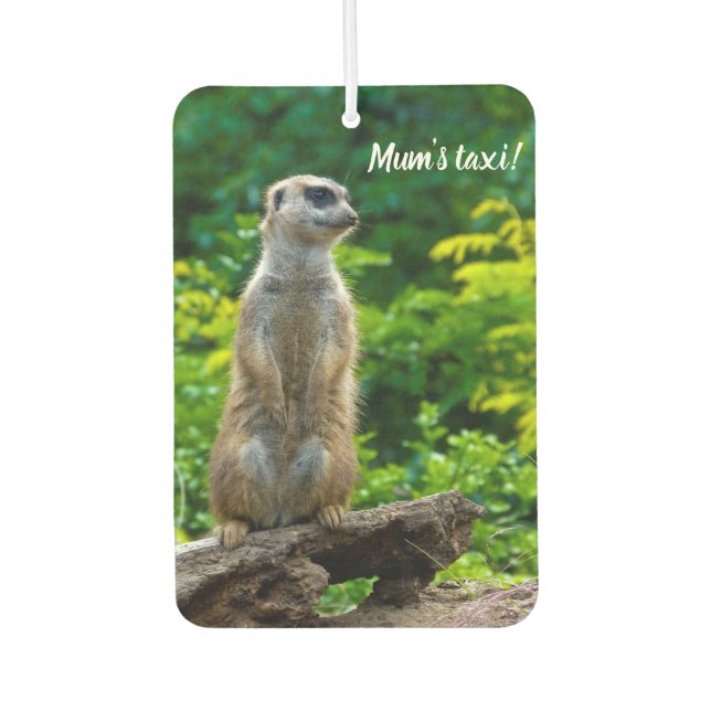 Meerkat Car air freshener (Front)