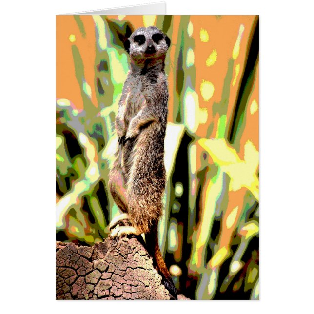 Meerkat Card (Front)