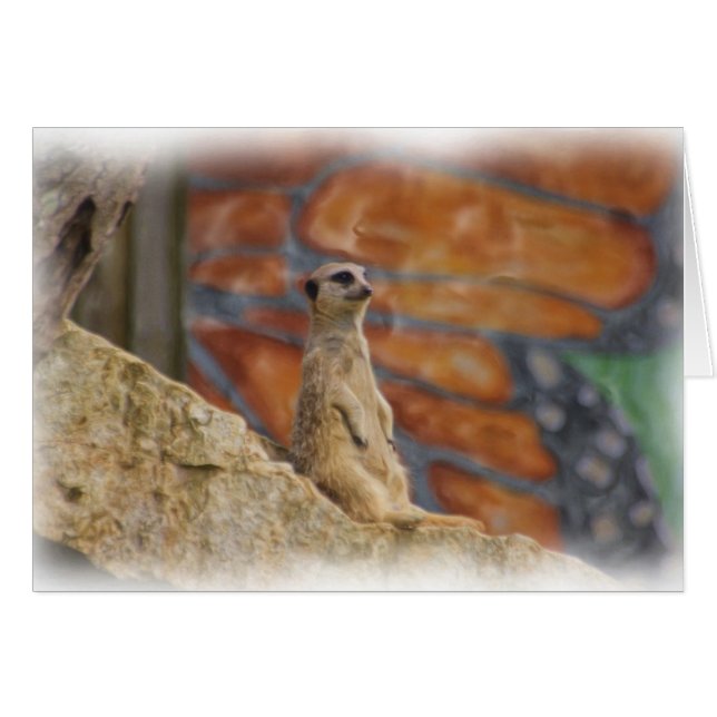 Meerkat Card (Front Horizontal)