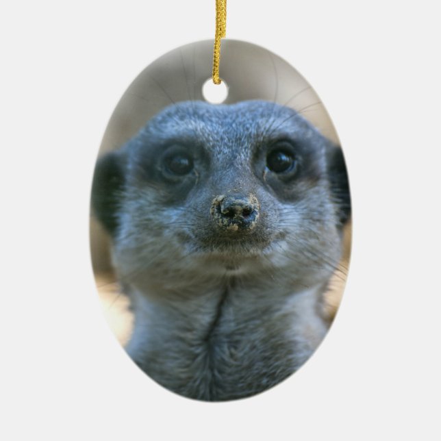 Meerkat Ceramic Tree Decoration (Front)