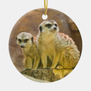 meerkat ceramic tree decoration