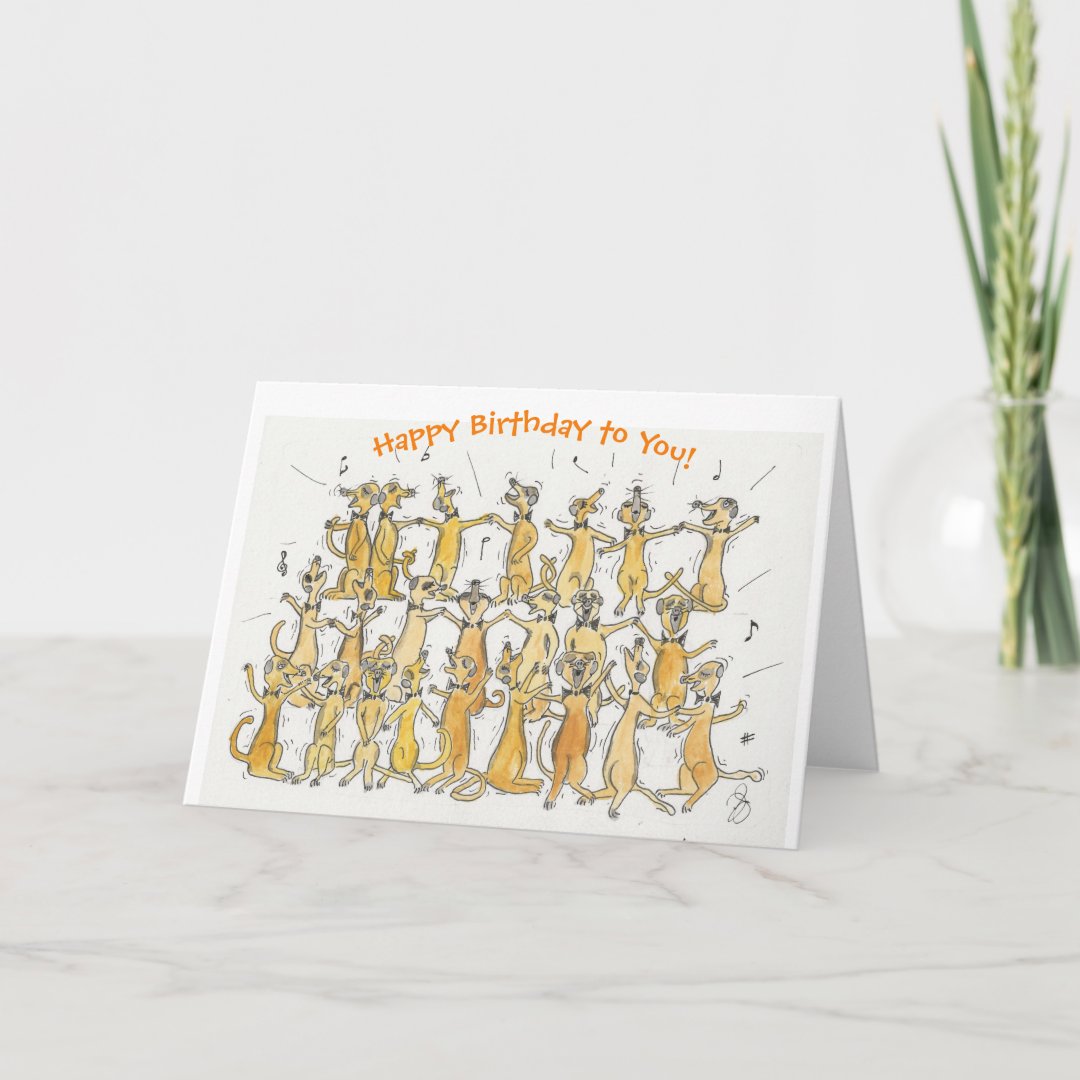 Meerkat Choir Happy Birthday! Card | Zazzle