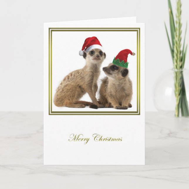 Meerkat Christmas 1 Holiday Card (Front)