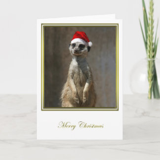 Meerkat Christmas 2 Holiday Card