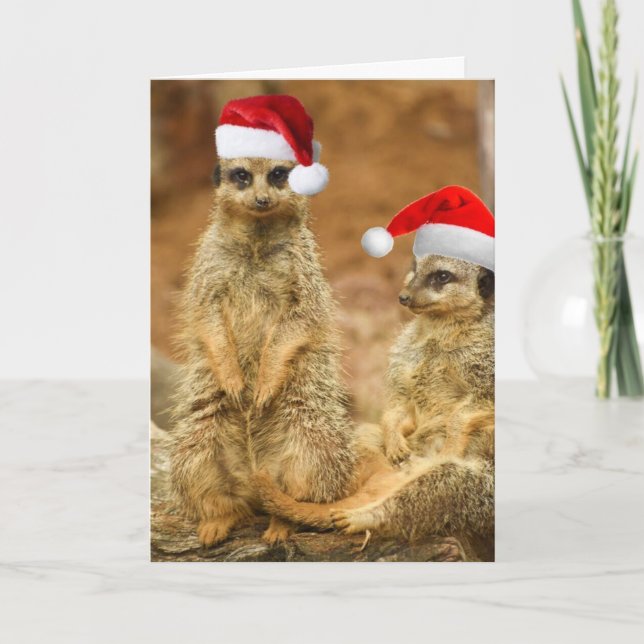 Meerkat Christmas card (Front)